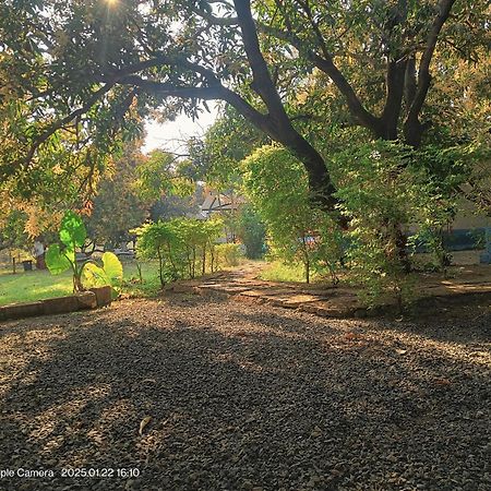 Gir County Resort غابة غير المظهر الخارجي الصورة