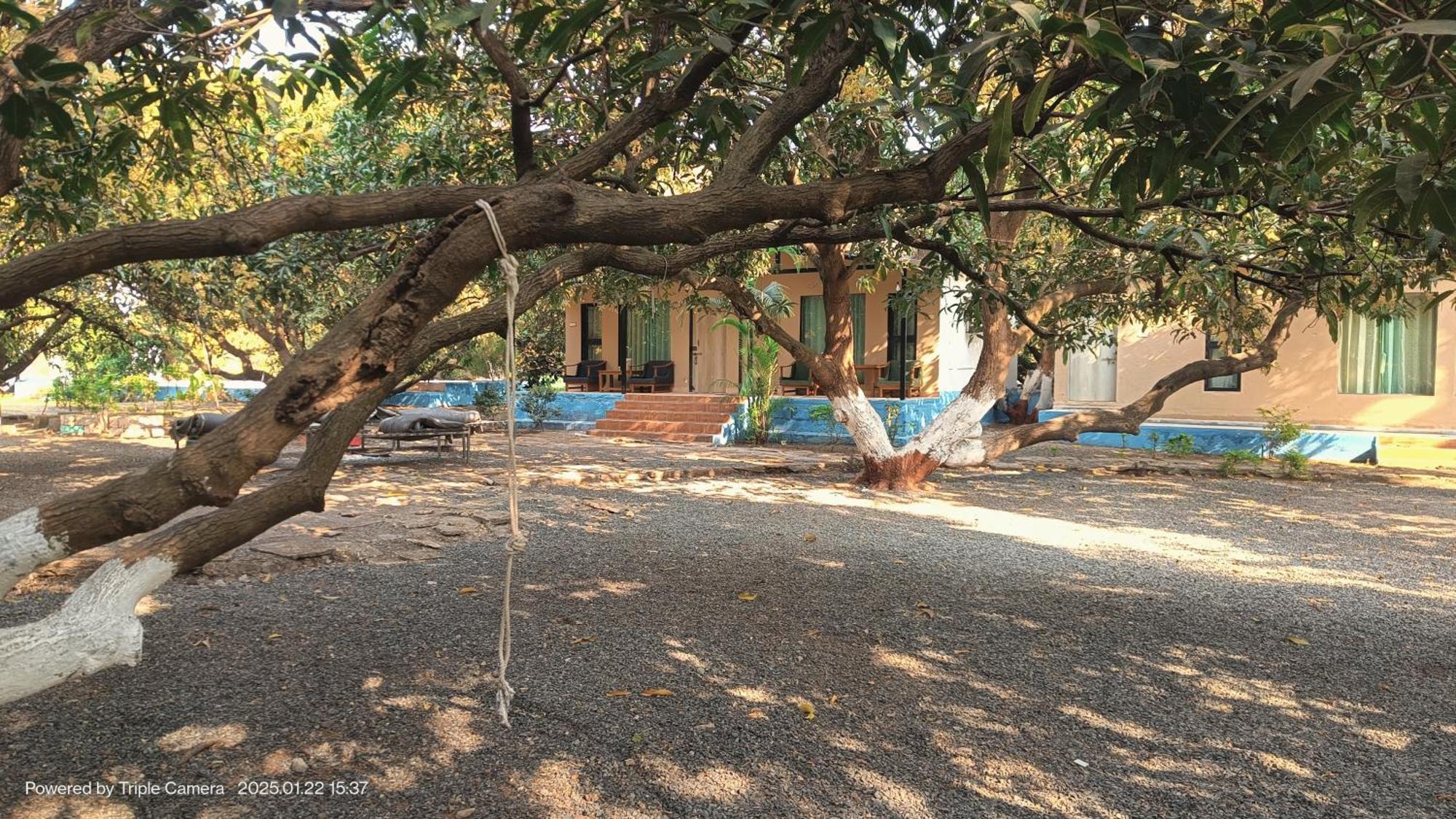Gir County Resort غابة غير المظهر الخارجي الصورة