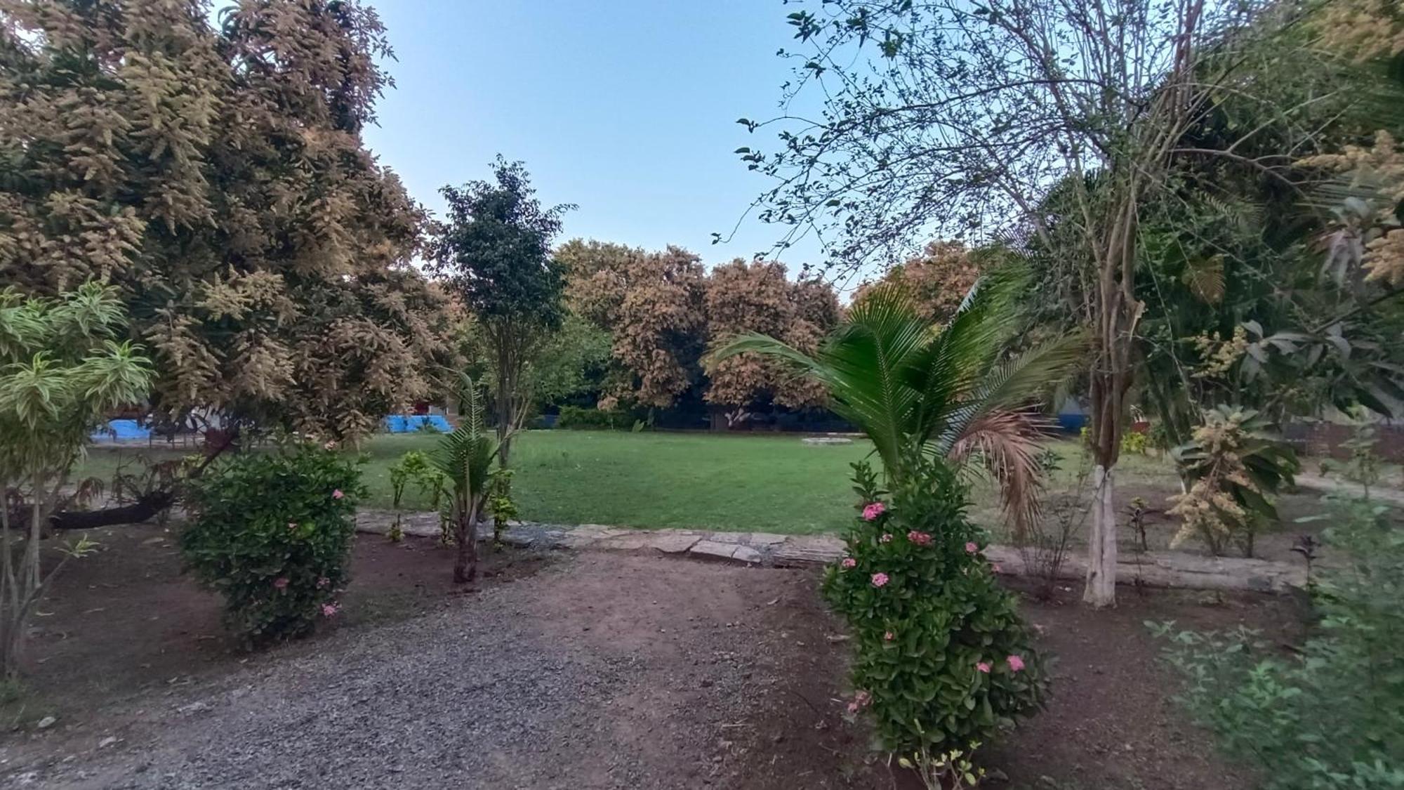 Gir County Resort غابة غير المظهر الخارجي الصورة